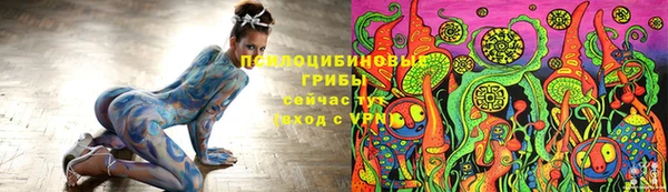 твердый Белокуриха